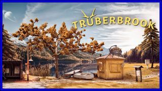 Trüberbrook (PS4) Review