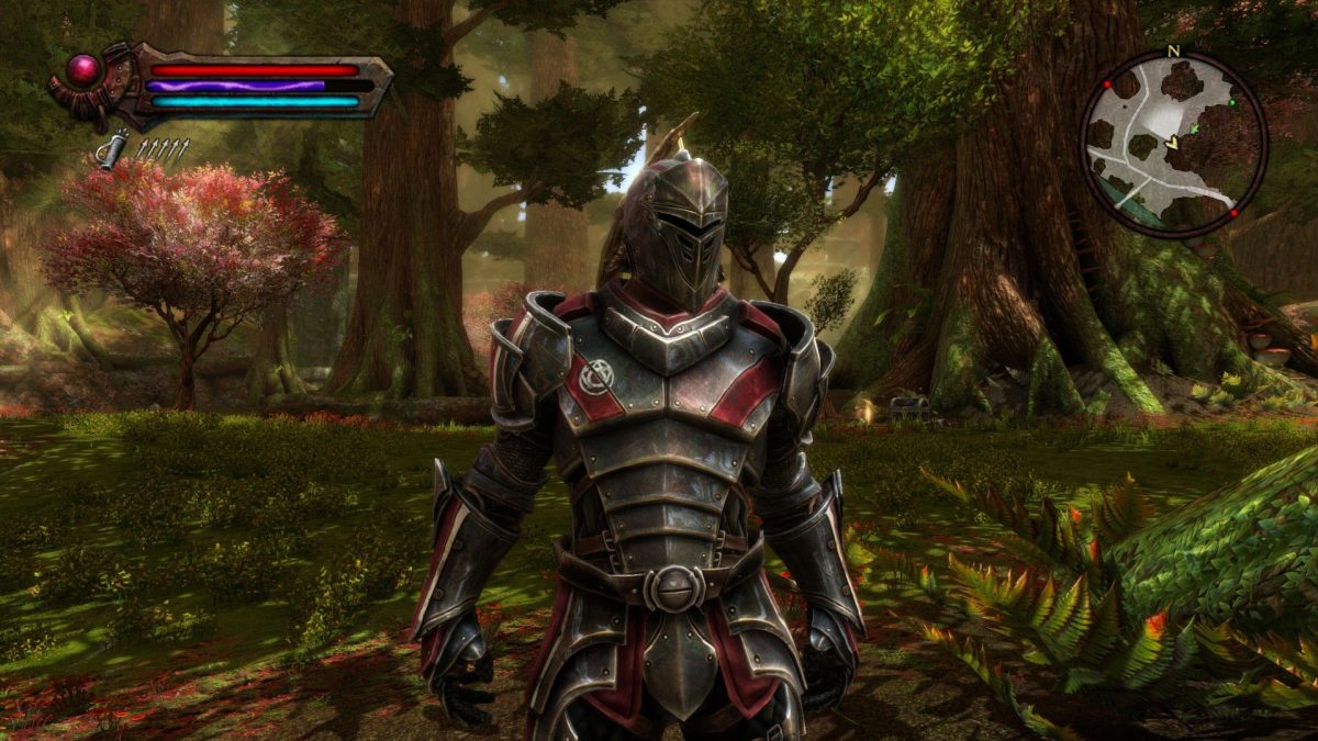 Kingdoms of Amalur ReReckoning (PS4) Review GamePitt THQ Nordic